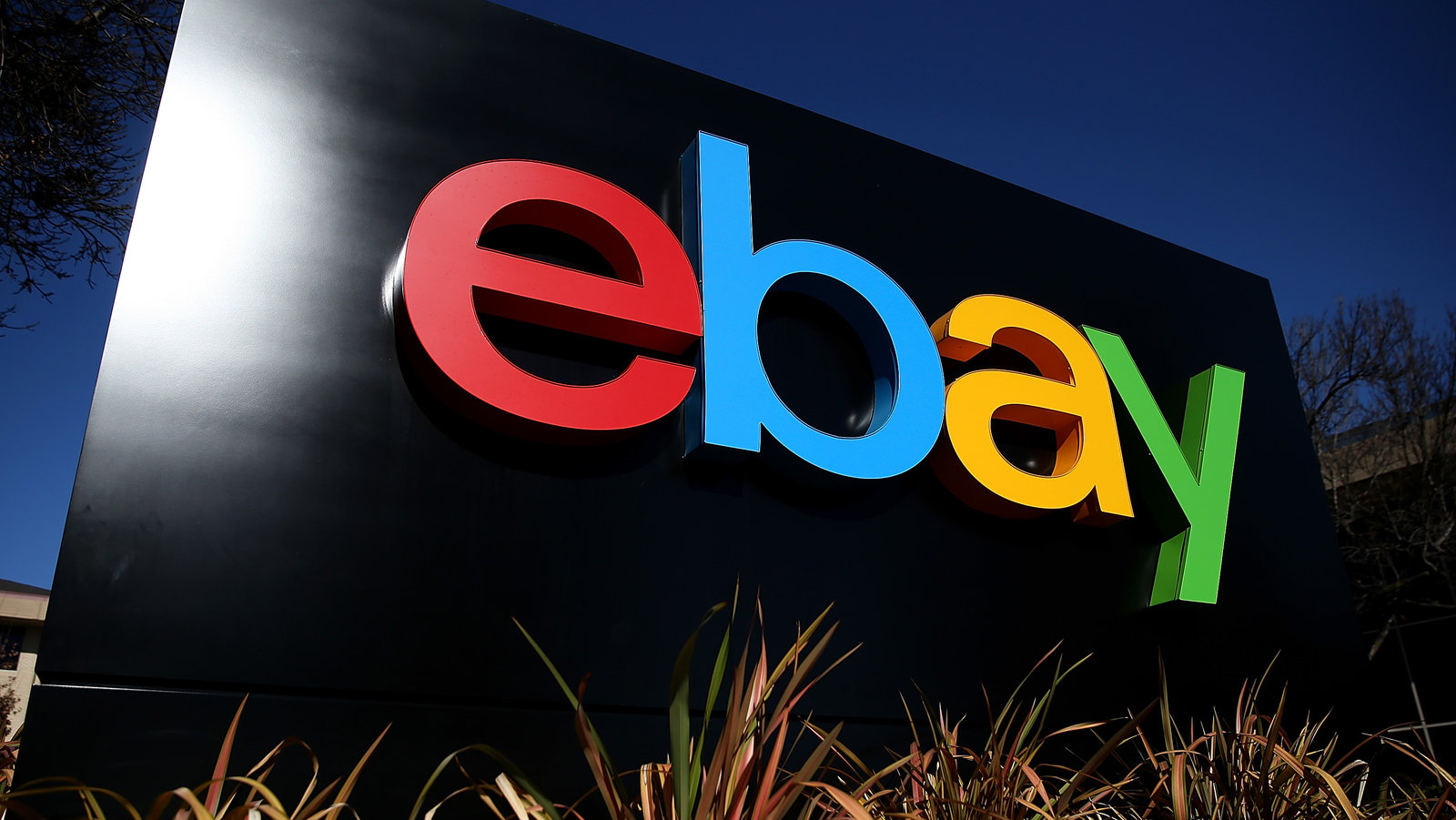 eBay Grant